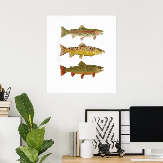 Drie Amigos-regenboog, bruine en Brook-forel Poster (Thuiskantoor)