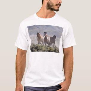 Drie Amigos T-shirt