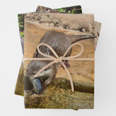 Drie andere, cadeauverpakking, decoupage, lakens, inpakpapier vel (In situ)