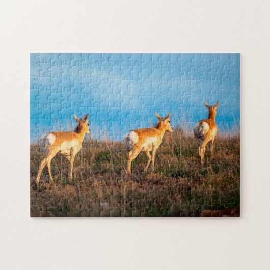 Drie antilopen lopen weg bij zonsondergang legpuzzel (Horizontaal)