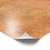 Drie appels en een half foto afdruk (Hoek)