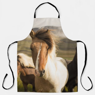 DRIE ASSORTED COLOR HORSES DIE VAN EEN MO LOPEN SCHORT