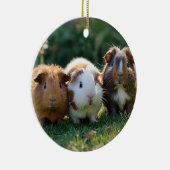 Drie Baby-cavia's, Keramisch Ornament (Rechts)