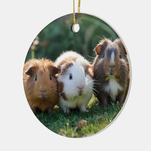 Drie Baby-cavia's, Keramisch Ornament (Links)