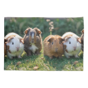 Drie Baby-cavia's, Kussensloop