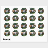 Drie Baby-cavia's, Ronde Sticker (Vel)