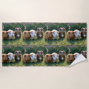 Drie Baby-cavia's, Strandlaken