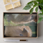 Drie Baby-cavia's, Tissuepapier (Geschenk)