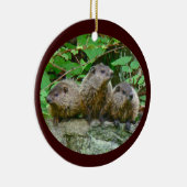 Drie Baby Groundhogs Keramisch Ornament (Rechts)
