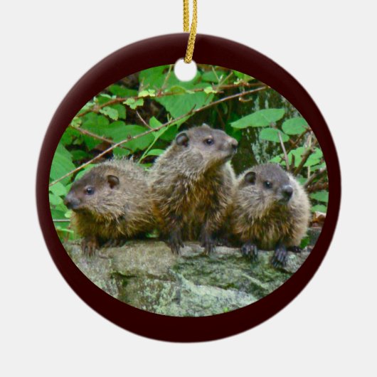 Drie Baby Groundhogs Keramisch Ornament (Voorkant)