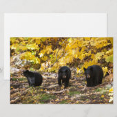 Drie Beren Briefpapier (Voorkant / Achterkant)