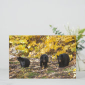 Drie Beren Briefpapier (Staand voorkant)