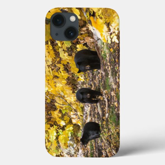 Drie beren Case-Mate iPhone case (Achterkant)