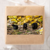 Drie Beren Etiket (Insitu)