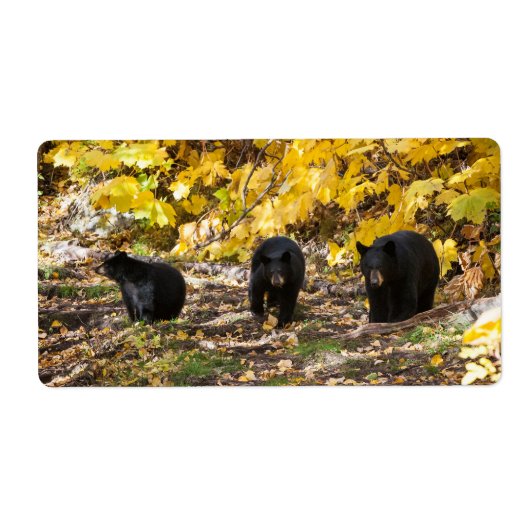 Drie Beren Etiket (Voorkant)