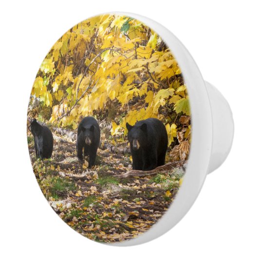 Drie Beren Keramische Knop (Rechts)