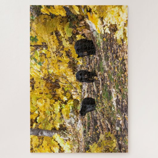 Drie Beren Legpuzzel (Verticaal)