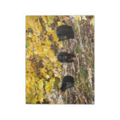 Drie Beren Notitieblok (Gedraaid)