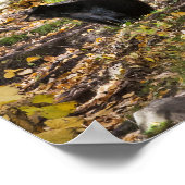 Drie beren poster (Hoek)