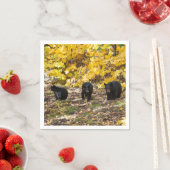 Drie Beren Servet (Insitu)