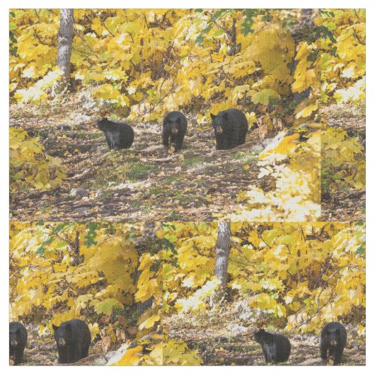 Drie Beren Stof (Close Up)