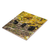 Drie Beren Tegeltje (Zijkant)