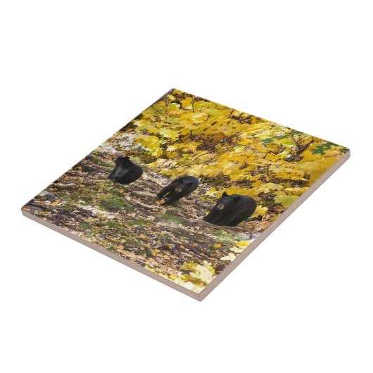 Drie Beren Tegeltje (Zijkant)