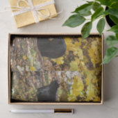 Drie Beren Tissuepapier (Geschenk)