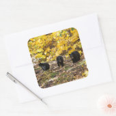 Drie Beren Vierkante Sticker (Envelop)