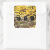Drie Beren Vierkante Sticker (Tas)
