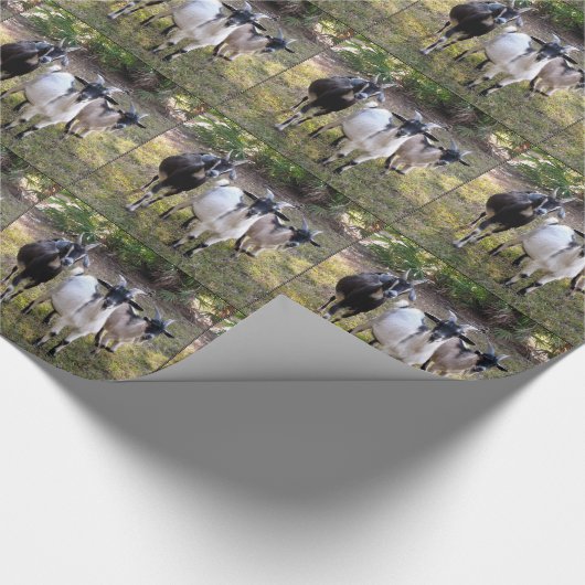 Drie Billy Goats Cadeaupapier (Hoek)