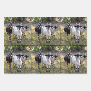 Drie Billy Goats Wrapping Sheets Inpakpapier Vel
