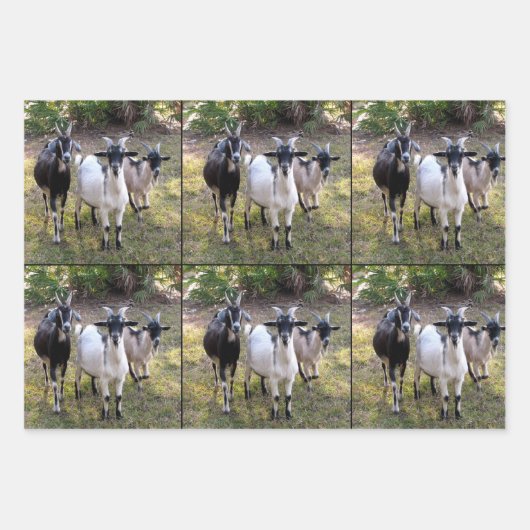 Drie Billy Goats Wrapping Sheets Inpakpapier Vel (Voorkant)