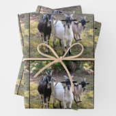Drie Billy Goats Wrapping Sheets Inpakpapier Vel (In situ)