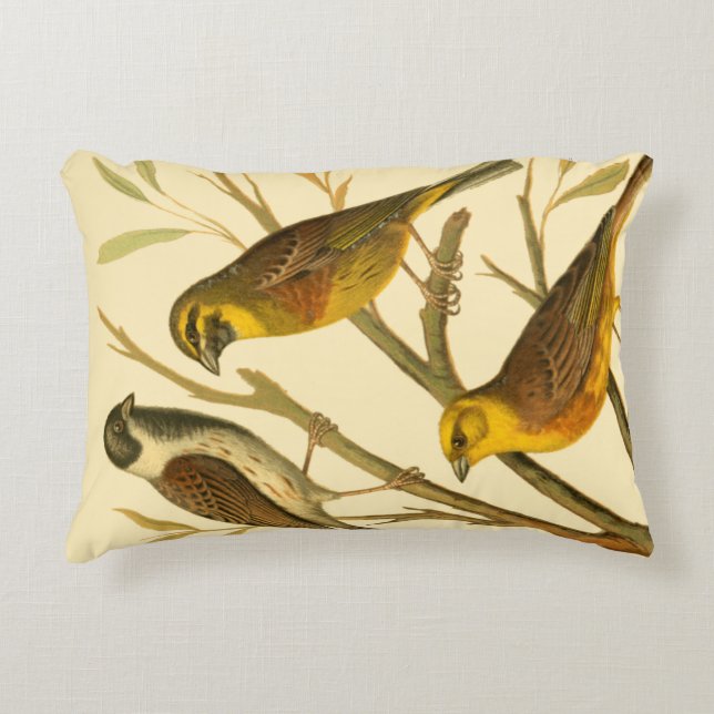 Drie binnenlandse vogels op een filiaal decoratief kussen (Voorkant)