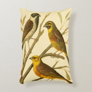 Drie binnenlandse vogels op een filiaal decoratief kussen