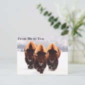 Drie Bison Briefkaart (Staand voorkant)
