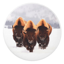 Drie Bison Keramische Knop