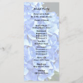 Drie Blauwe Hortensia Programma (Achterkant)