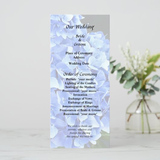 Drie Blauwe Hortensia Programma (Staand voorkant)