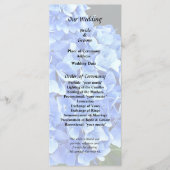 Drie Blauwe Hortensia Programma (Voorkant)