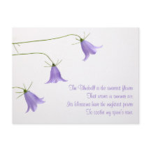 Drie blauwe klokjes foto met een gedicht