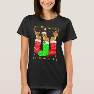 Drie Bobcats in kerstsokken bijpassende Xmas Pyjam T-shirt