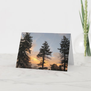 Drie bomen bij winterzonsondergang feestdagen kaart