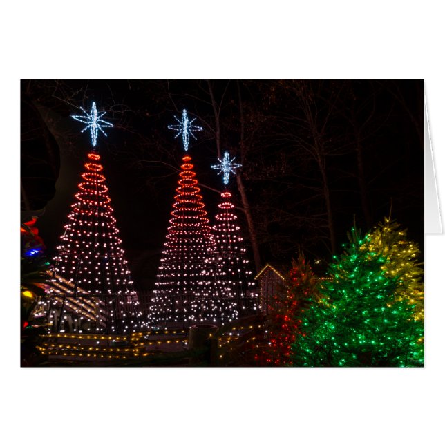 Drie bomen in Midtown (Voorkant Horizontaal)