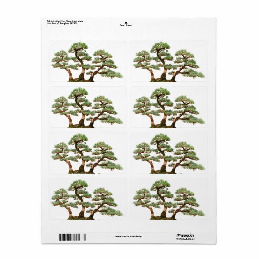drie bomen met bonsai etiket (Full Sheet)