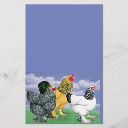 Drie Brahmas Briefpapier (Voorkant)