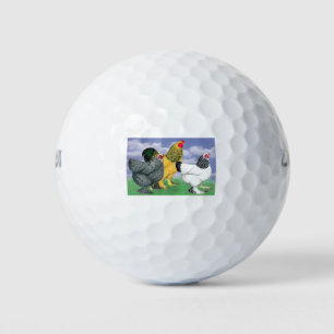 Drie Brahmas Golfballen