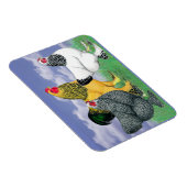 Drie Brahmas Magneet (Rechterzijde)