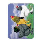 Drie Brahmas Magneet (Verticaal)